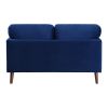 Modern Contemporary 2pc Sofa Set Blue Sofa Loveseat Velvet Upholstery Dark Brown Legs Solid Wood Living Room Furniture