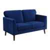 Modern Contemporary 2pc Sofa Set Blue Sofa Loveseat Velvet Upholstery Dark Brown Legs Solid Wood Living Room Furniture