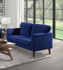 Modern Contemporary 2pc Sofa Set Blue Sofa Loveseat Velvet Upholstery Dark Brown Legs Solid Wood Living Room Furniture