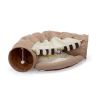 Collapsible Cat Tunnel Bed;  Hide Tunnel for Indoor Cats with Hanging Toys and Cushion Mat;  XH