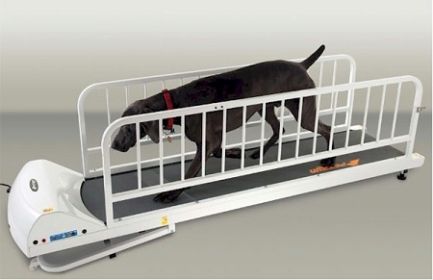 PetRun Dog Treadmill (Option: PR725)